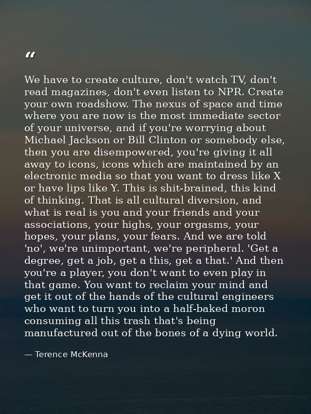 We have to create culture, don't watch TV, don't read magazines, don't even listen to NPR. Create your own roadshow. The — Terence McKenna