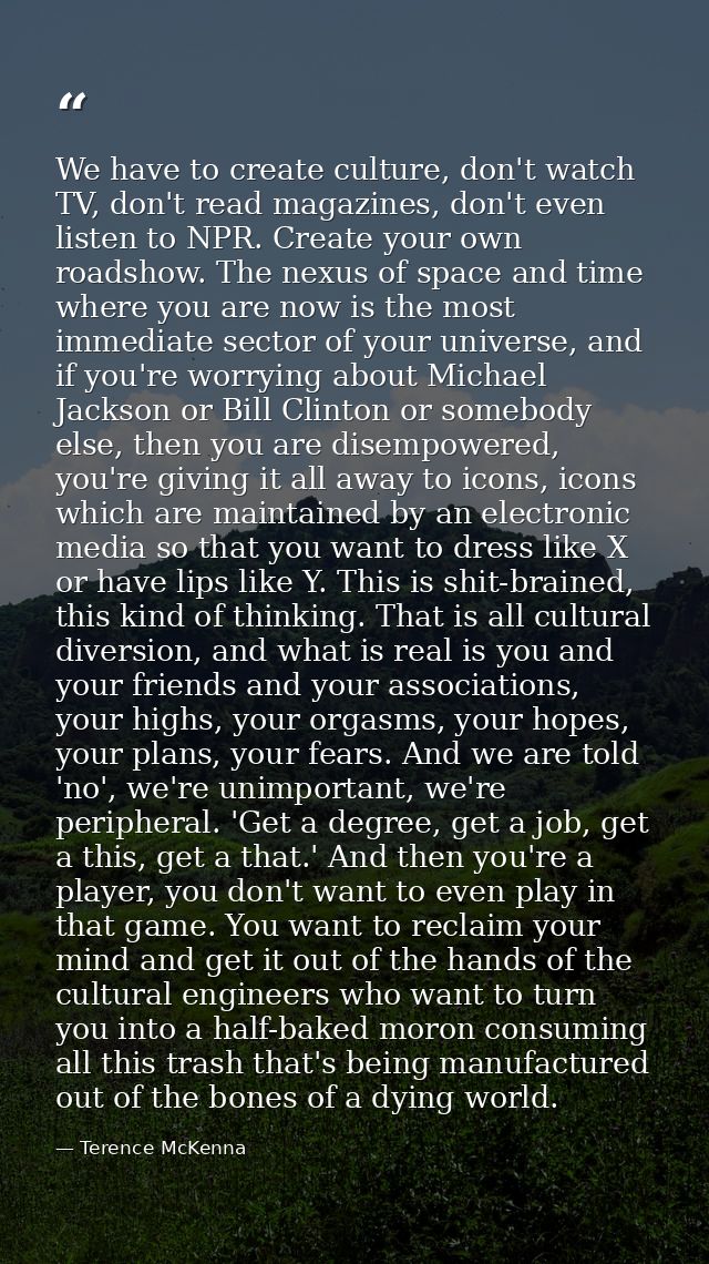 We have to create culture, don't watch TV, don't read magazines, don't even listen to NPR. Create your own roadshow. The — Terence McKenna