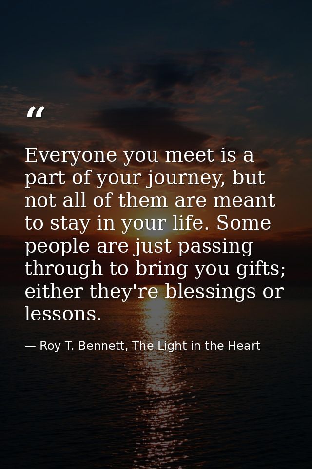 Everyone you meet is a part of your journey, but not all of them are meant to stay in your life. Some people are just pa — Roy T. Bennett, The Light in the Heart