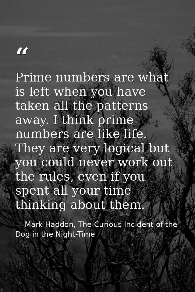 Prime numbers are what is left when you have taken all the patterns away. I think prime numbers are like life. They are  — Mark Haddon, The Curious Incident of the Dog in the Night-Time