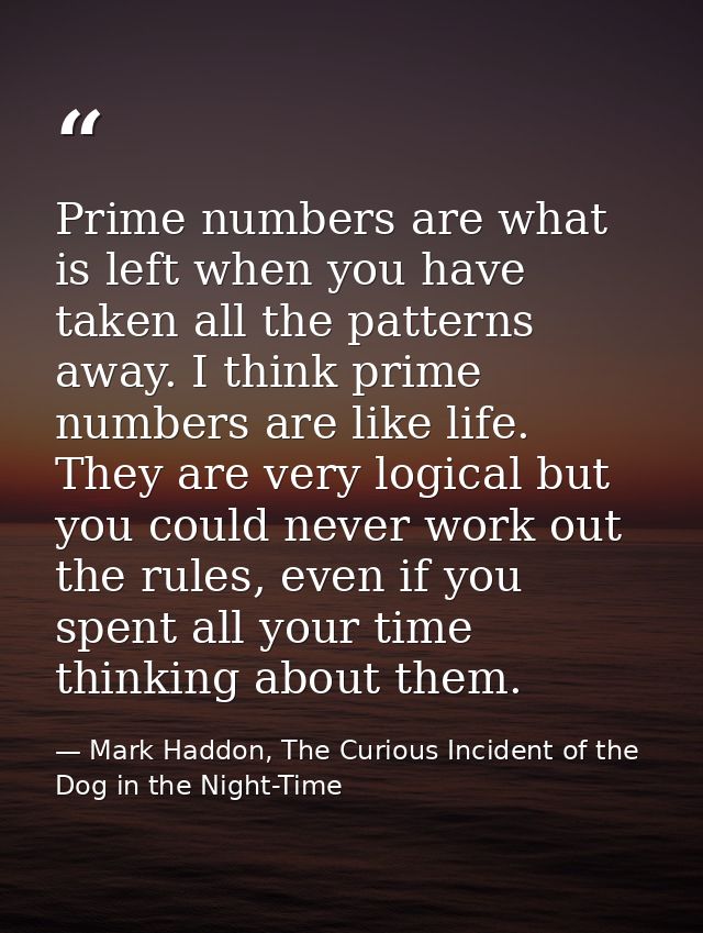 Prime numbers are what is left when you have taken all the patterns away. I think prime numbers are like life. They are  — Mark Haddon, The Curious Incident of the Dog in the Night-Time