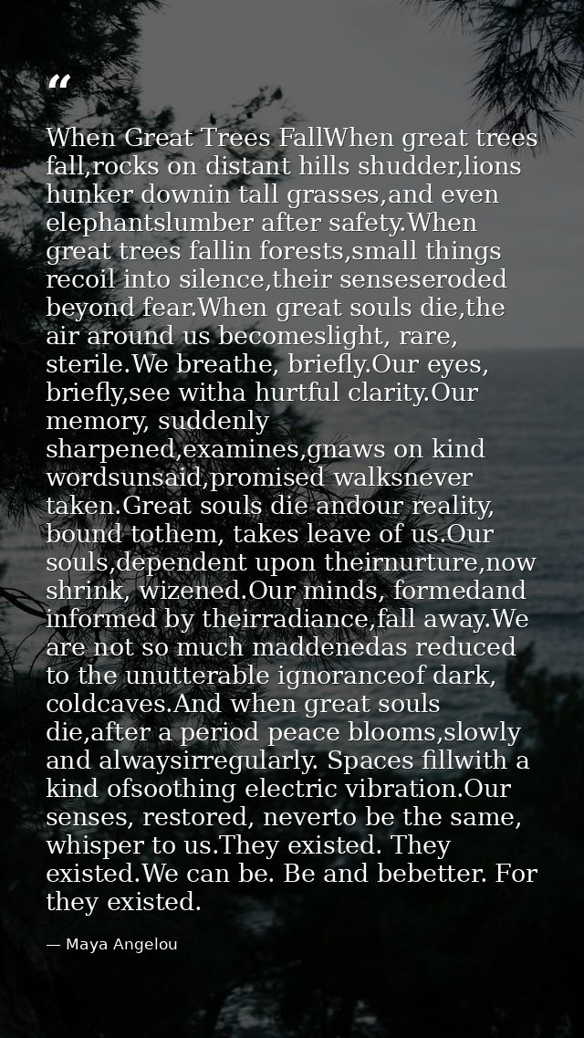 When Great Trees FallWhen great trees fall,rocks on distant hills shudder,lions hunker downin tall grasses,and even elep — Maya Angelou