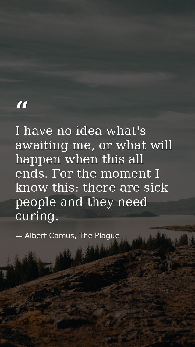 I have no idea what's awaiting me, or what will happen when this all ends. For the moment I know this: there are sick pe — Albert Camus, The Plague