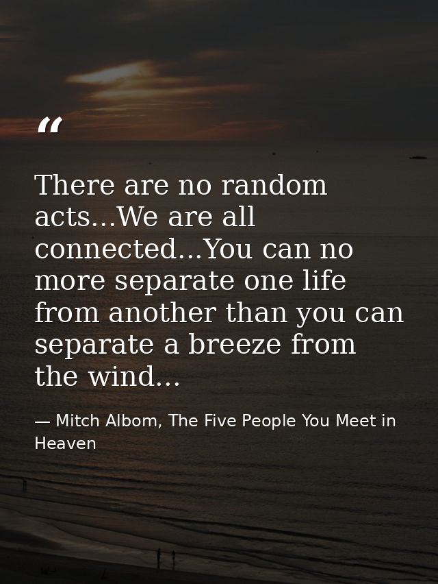 There are no random acts...We are all connected...You can no more separate one life from another than you can separate a — Mitch Albom, The Five People You Meet in Heaven
