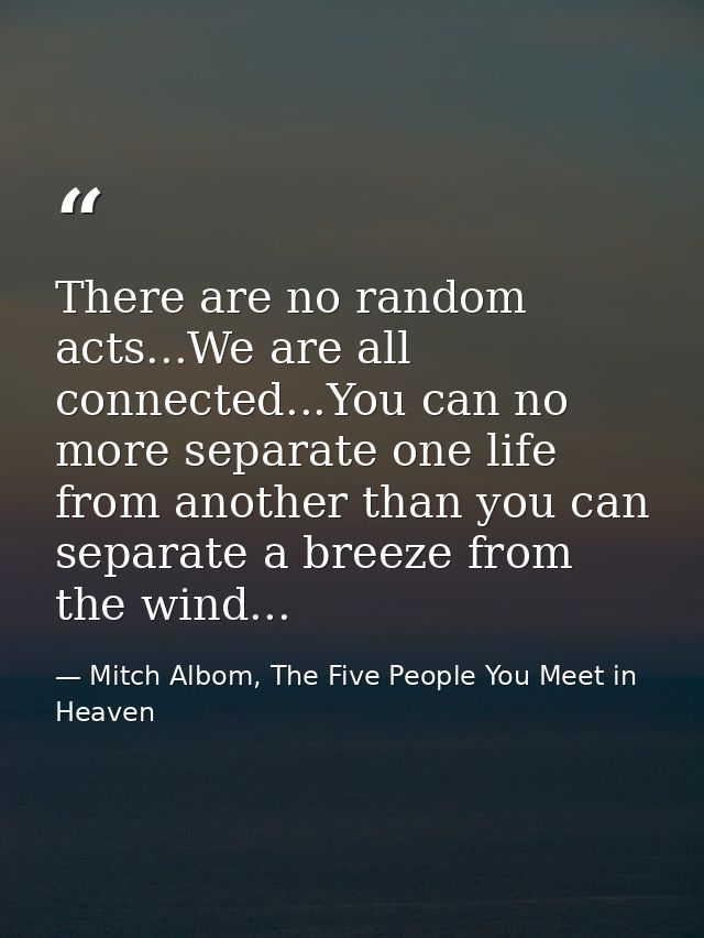 There are no random acts...We are all connected...You can no more separate one life from another than you can separate a — Mitch Albom, The Five People You Meet in Heaven