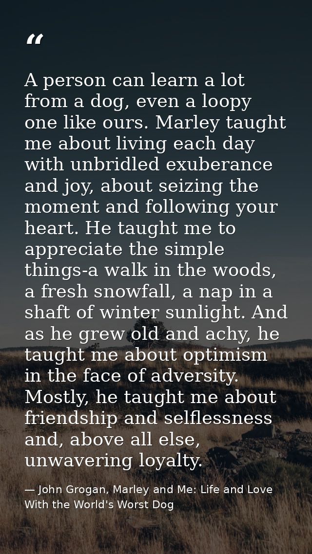 A person can learn a lot from a dog, even a loopy one like ours. Marley taught me about living each day with unbridled e — John Grogan, Marley and Me: Life and Love With the World's Worst Dog