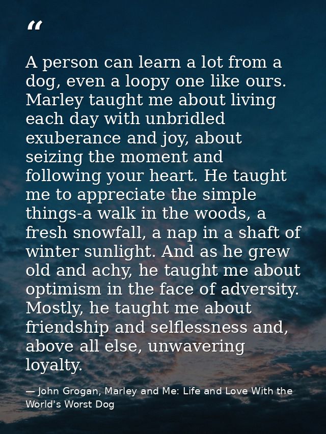 A person can learn a lot from a dog, even a loopy one like ours. Marley taught me about living each day with unbridled e — John Grogan, Marley and Me: Life and Love With the World's Worst Dog