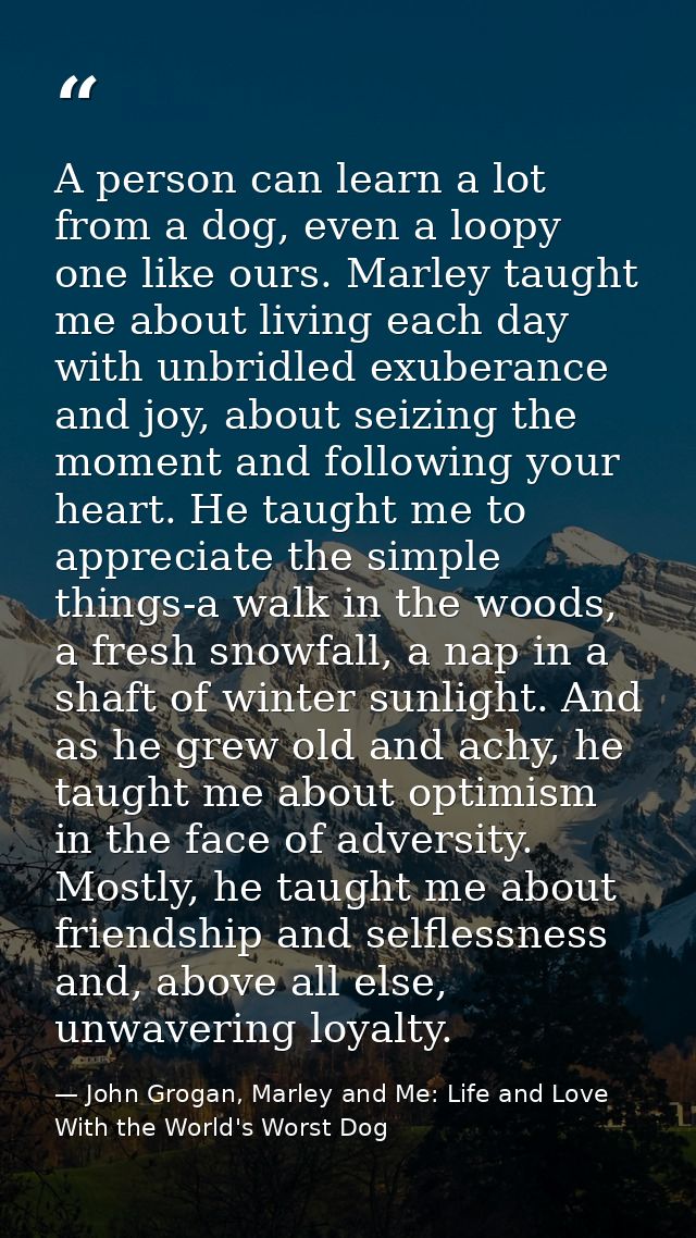 A person can learn a lot from a dog, even a loopy one like ours. Marley taught me about living each day with unbridled e — John Grogan, Marley and Me: Life and Love With the World's Worst Dog
