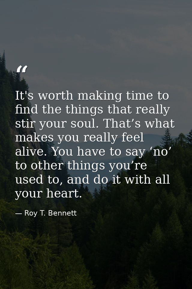 It's worth making time to find the things that really stir your soul. That’s what makes you really feel alive. You have  — Roy T. Bennett