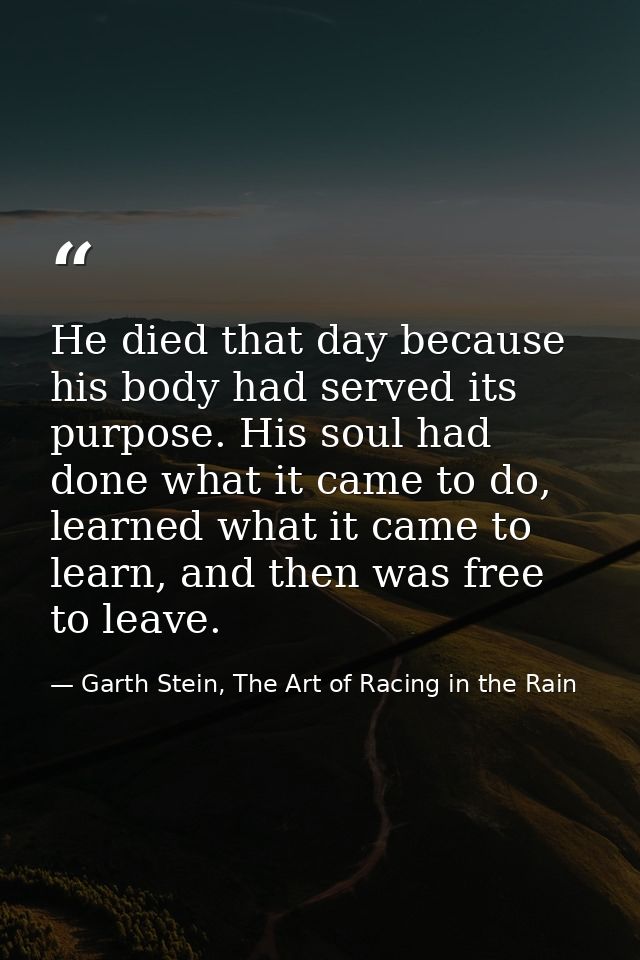 He died that day because his body had served its purpose. His soul had done what it came to do, learned what it came to  — Garth Stein, The Art of Racing in the Rain