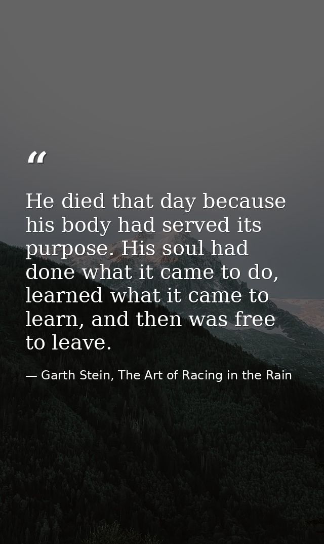 He died that day because his body had served its purpose. His soul had done what it came to do, learned what it came to  — Garth Stein, The Art of Racing in the Rain