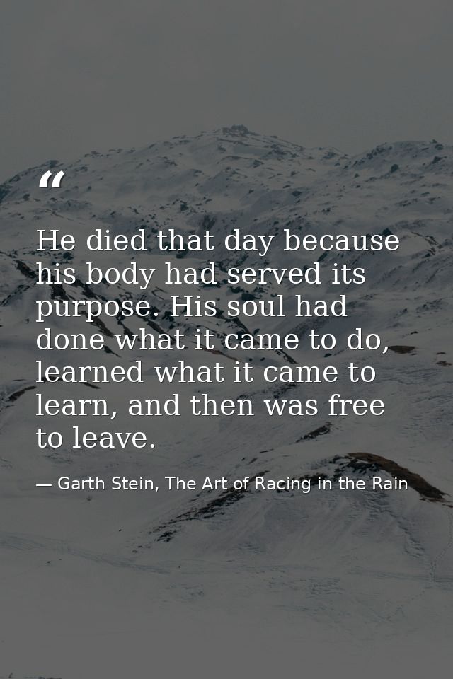 He died that day because his body had served its purpose. His soul had done what it came to do, learned what it came to  — Garth Stein, The Art of Racing in the Rain