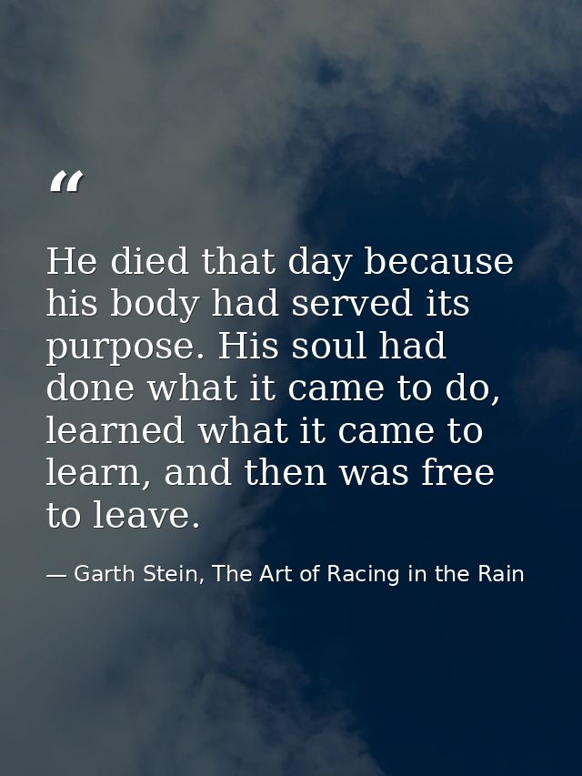 He died that day because his body had served its purpose. His soul had done what it came to do, learned what it came to  — Garth Stein, The Art of Racing in the Rain