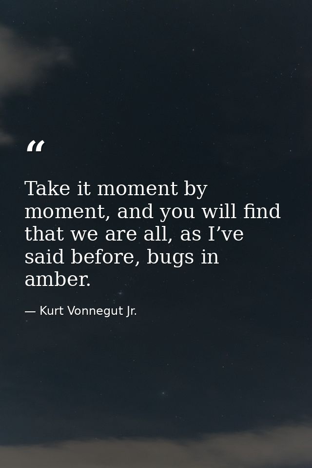 Take it moment by moment, and you will find that we are all, as I’ve said before, bugs in amber. — Kurt Vonnegut Jr.