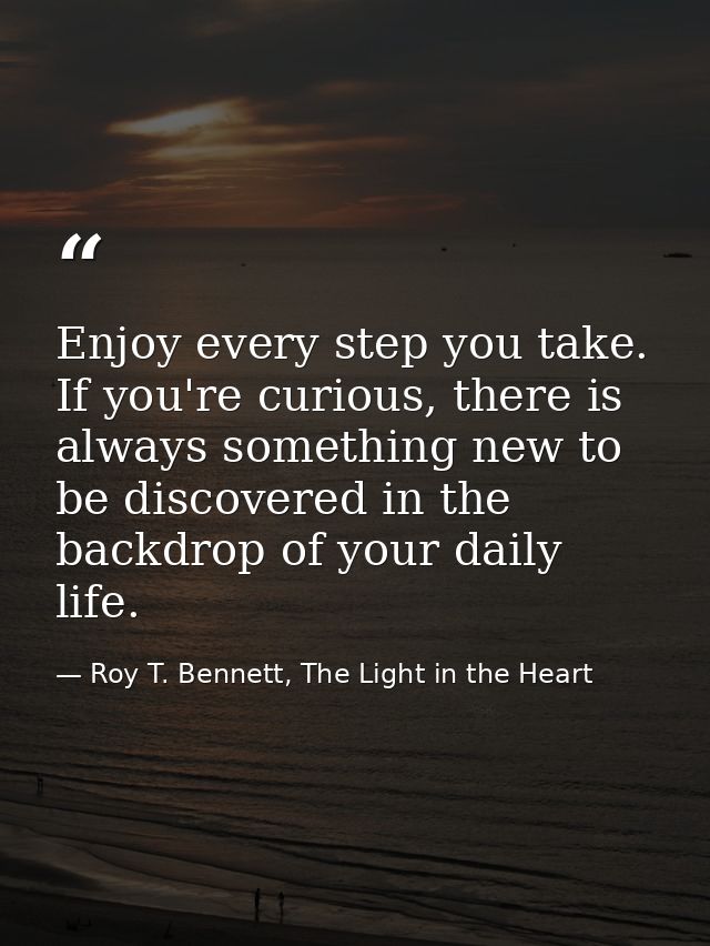Enjoy every step you take. If you're curious, there is always something new to be discovered in the backdrop of your dai — Roy T. Bennett, The Light in the Heart