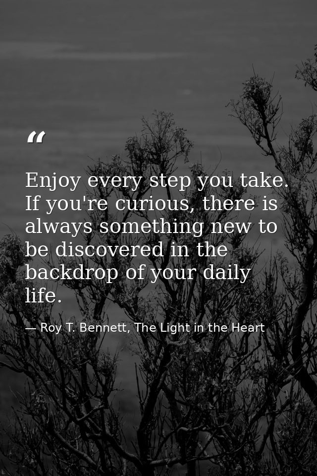 Enjoy every step you take. If you're curious, there is always something new to be discovered in the backdrop of your dai — Roy T. Bennett, The Light in the Heart