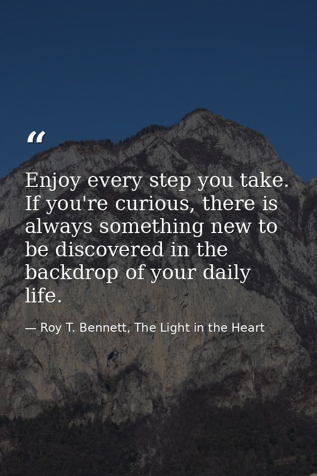 Enjoy every step you take. If you're curious, there is always something new to be discovered in the backdrop of your dai — Roy T. Bennett, The Light in the Heart