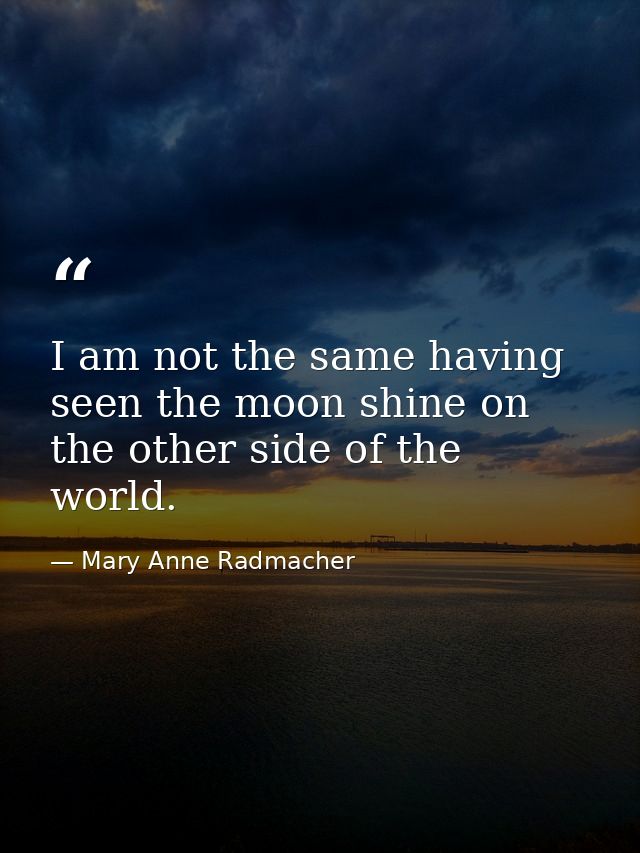 I am not the same having seen the moon shine on the other side of the world. — Mary Anne Radmacher