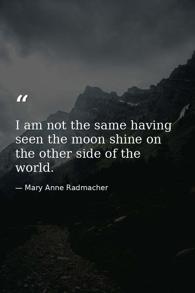 I am not the same having seen the moon shine on the other side of the world. — Mary Anne Radmacher