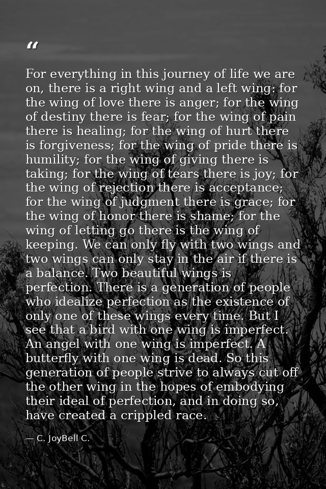 For everything in this journey of life we are on, there is a right wing and a left wing: for the wing of love there is a — C. JoyBell C.