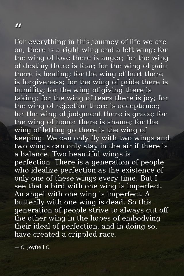 For everything in this journey of life we are on, there is a right wing and a left wing: for the wing of love there is a — C. JoyBell C.