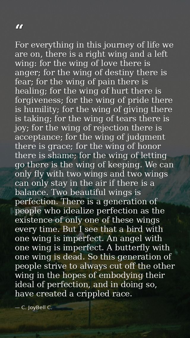 For everything in this journey of life we are on, there is a right wing and a left wing: for the wing of love there is a — C. JoyBell C.