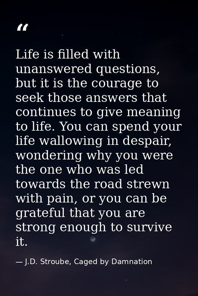 Life is filled with unanswered questions, but it is the courage to seek those answers that continues to give meaning to  — J.D. Stroube, Caged by Damnation