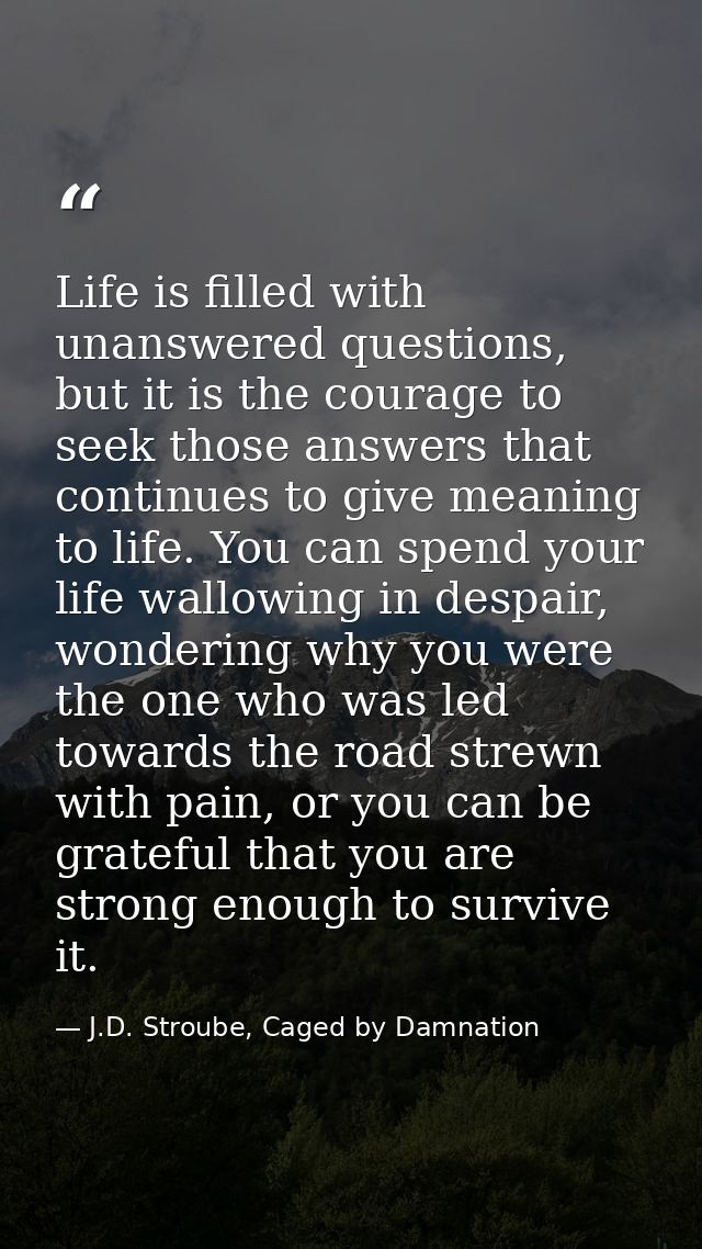 Life is filled with unanswered questions, but it is the courage to seek those answers that continues to give meaning to  — J.D. Stroube, Caged by Damnation