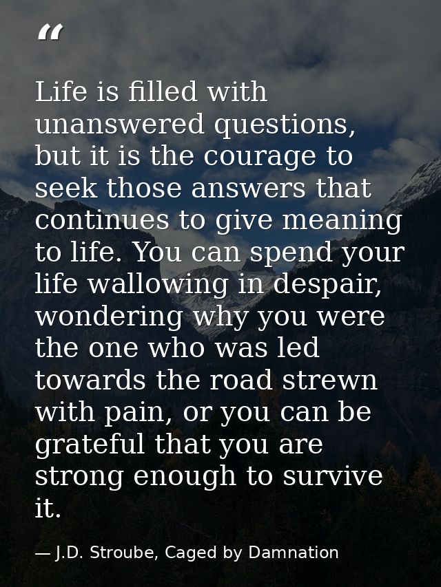 Life is filled with unanswered questions, but it is the courage to seek those answers that continues to give meaning to  — J.D. Stroube, Caged by Damnation