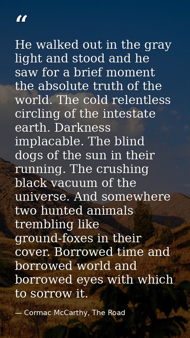 He walked out in the gray light and stood and he saw for a brief moment the absolute truth of the world. The cold relent — Cormac McCarthy, The Road