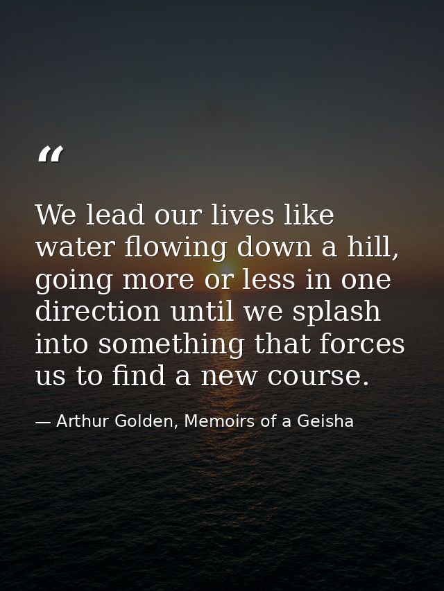 We lead our lives like water flowing down a hill, going more or less in one direction until we splash into something tha — Arthur Golden, Memoirs of a Geisha