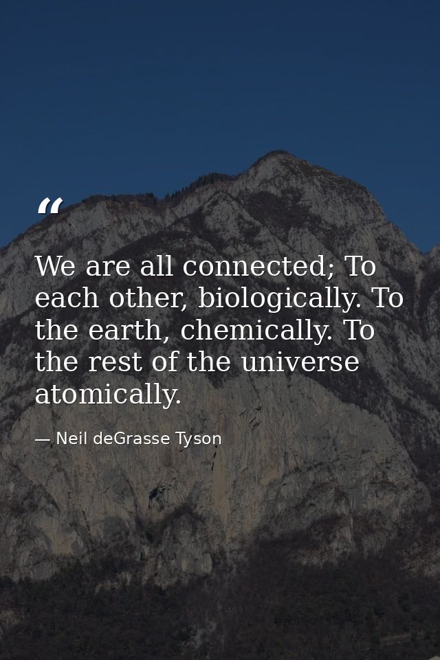 We are all connected; To each other, biologically. To the earth, chemically. To the rest of the universe atomically. — Neil deGrasse Tyson