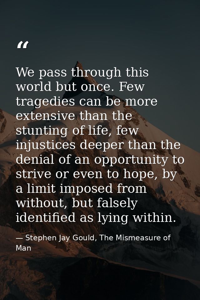We pass through this world but once. Few tragedies can be more extensive than the stunting of life, few injustices deepe — Stephen Jay Gould, The Mismeasure of Man