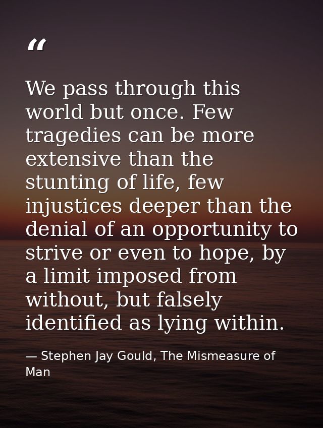 We pass through this world but once. Few tragedies can be more extensive than the stunting of life, few injustices deepe — Stephen Jay Gould, The Mismeasure of Man