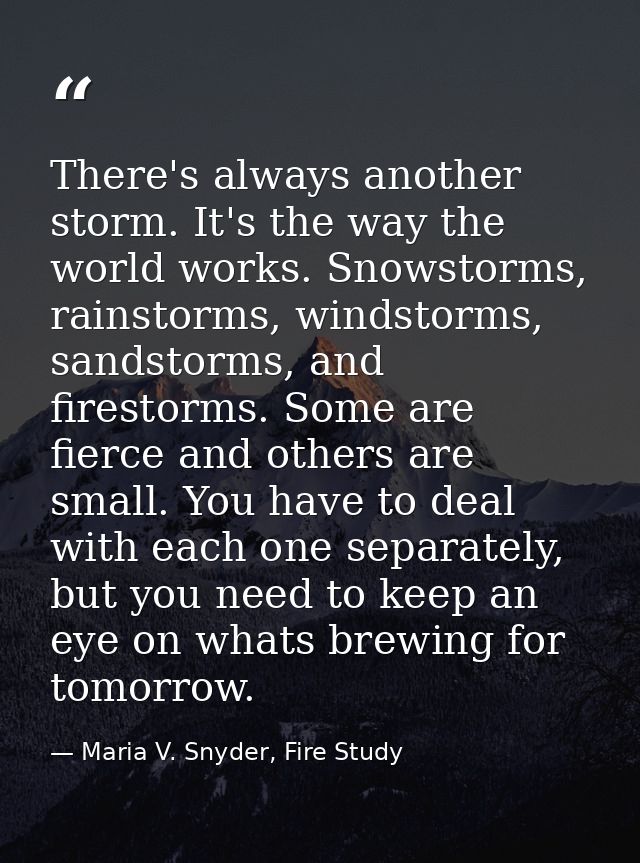 There's always another storm. It's the way the world works. Snowstorms, rainstorms, windstorms, sandstorms, and firestor — Maria V. Snyder, Fire Study