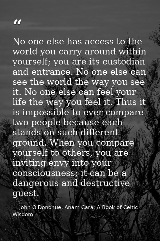 No one else has access to the world you carry around within yourself; you are its custodian and entrance. No one else ca — John O'Donohue, Anam Cara: A Book of Celtic Wisdom
