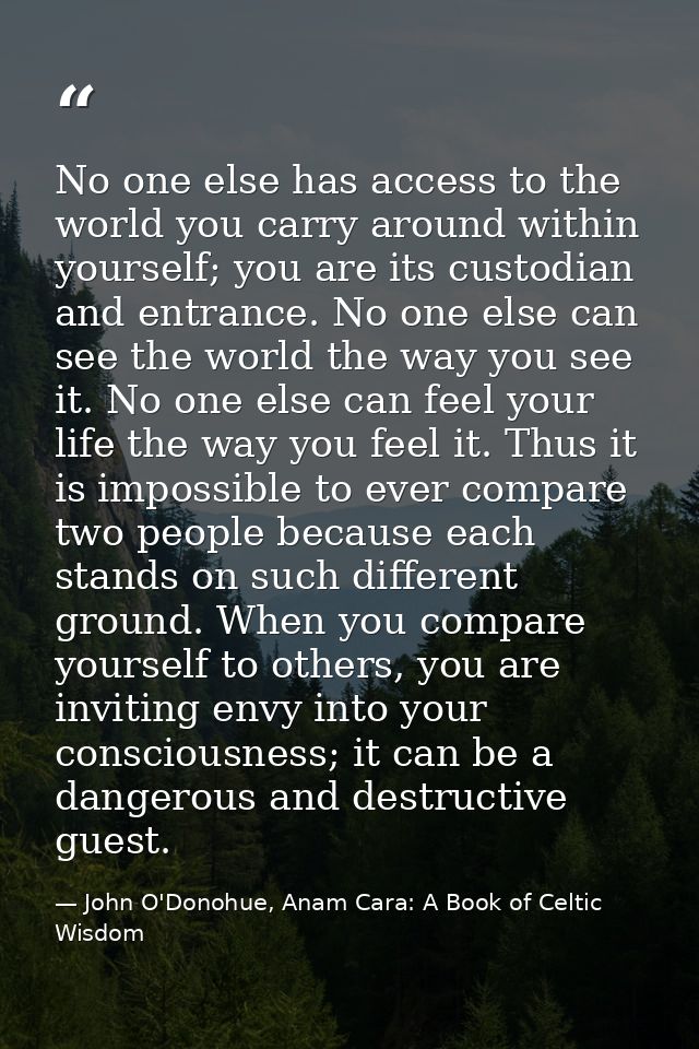 No one else has access to the world you carry around within yourself; you are its custodian and entrance. No one else ca — John O'Donohue, Anam Cara: A Book of Celtic Wisdom
