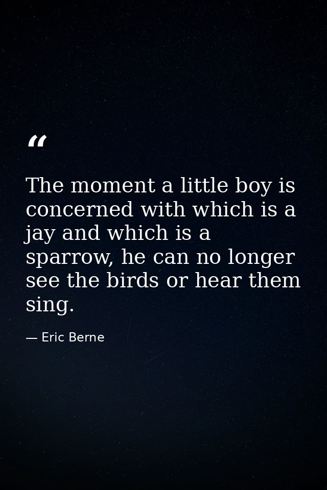 The moment a little boy is concerned with which is a jay and which is a sparrow, he can no longer see the birds or hear  — Eric Berne