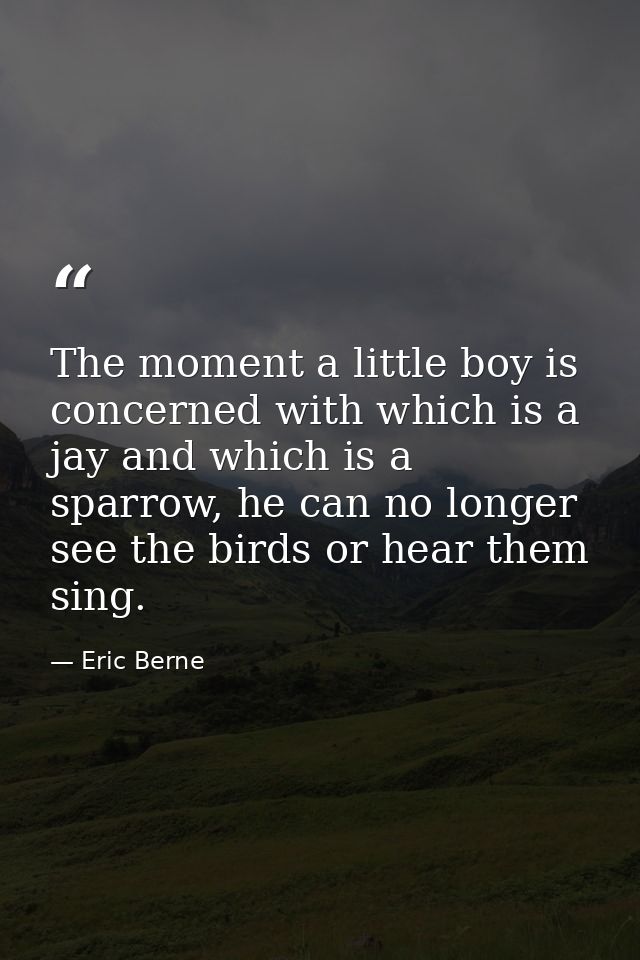 The moment a little boy is concerned with which is a jay and which is a sparrow, he can no longer see the birds or hear  — Eric Berne