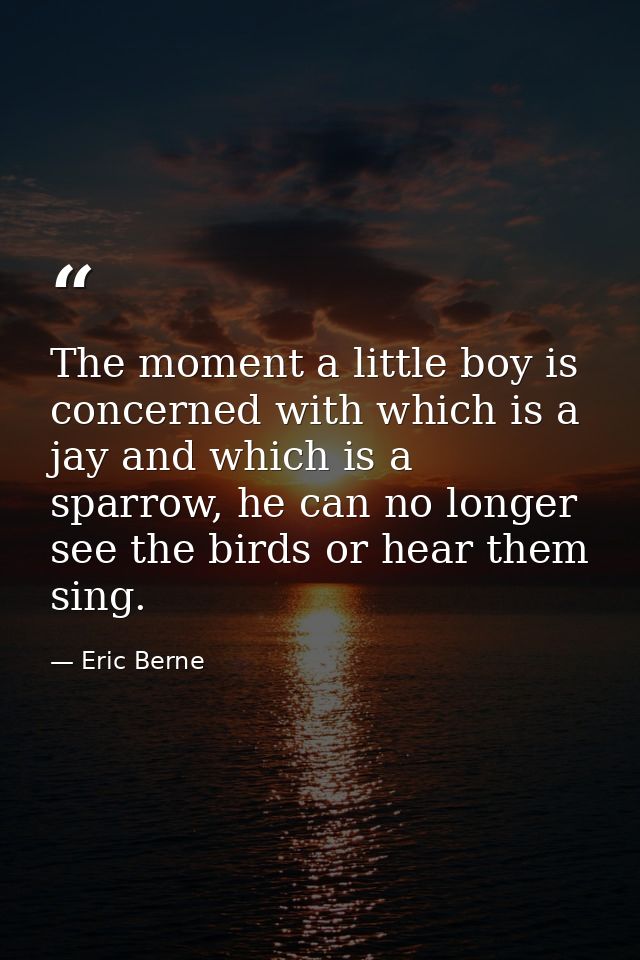The moment a little boy is concerned with which is a jay and which is a sparrow, he can no longer see the birds or hear  — Eric Berne