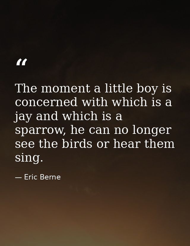 The moment a little boy is concerned with which is a jay and which is a sparrow, he can no longer see the birds or hear  — Eric Berne