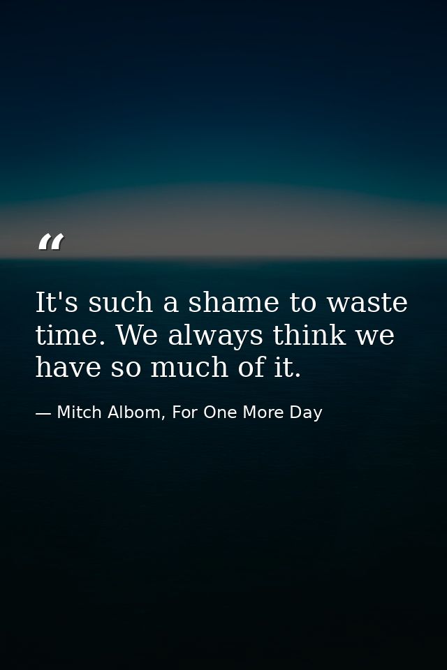 It's such a shame to waste time. We always think we have so much of it. — Mitch Albom, For One More Day
