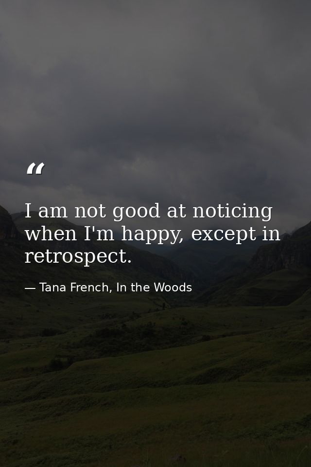 I am not good at noticing when I'm happy, except in retrospect. — Tana French, In the Woods