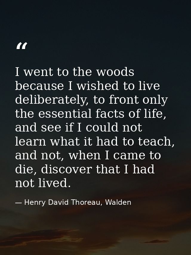 I went to the woods because I wished to live deliberately, to front only the essential facts of life, and see if I could — Henry David Thoreau, Walden