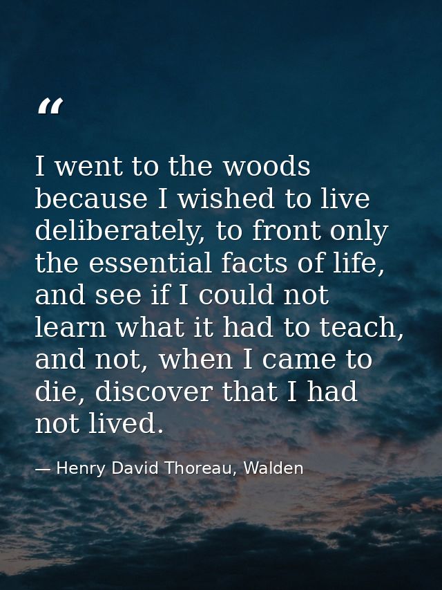 I went to the woods because I wished to live deliberately, to front only the essential facts of life, and see if I could — Henry David Thoreau, Walden