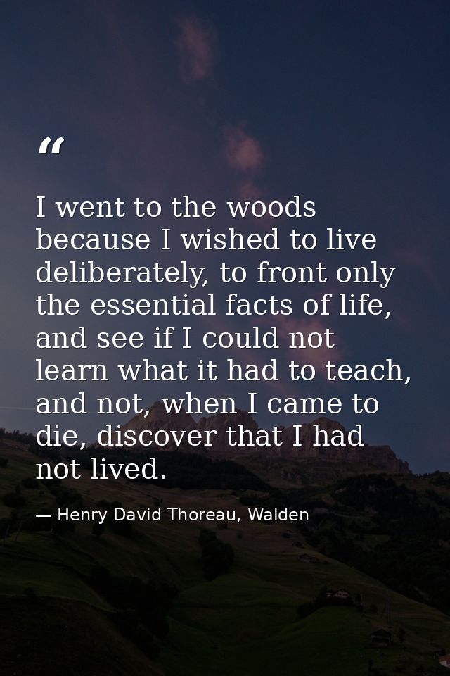 I went to the woods because I wished to live deliberately, to front only the essential facts of life, and see if I could — Henry David Thoreau, Walden