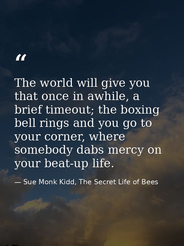 The world will give you that once in awhile, a brief timeout; the boxing bell rings and you go to your corner, where som — Sue Monk Kidd, The Secret Life of Bees