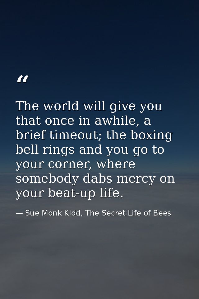 The world will give you that once in awhile, a brief timeout; the boxing bell rings and you go to your corner, where som — Sue Monk Kidd, The Secret Life of Bees