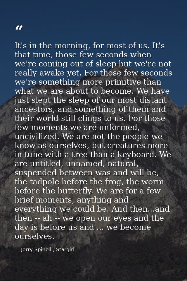 It's in the morning, for most of us. It's that time, those few seconds when we're coming out of sleep but we're not real — Jerry Spinelli, Stargirl