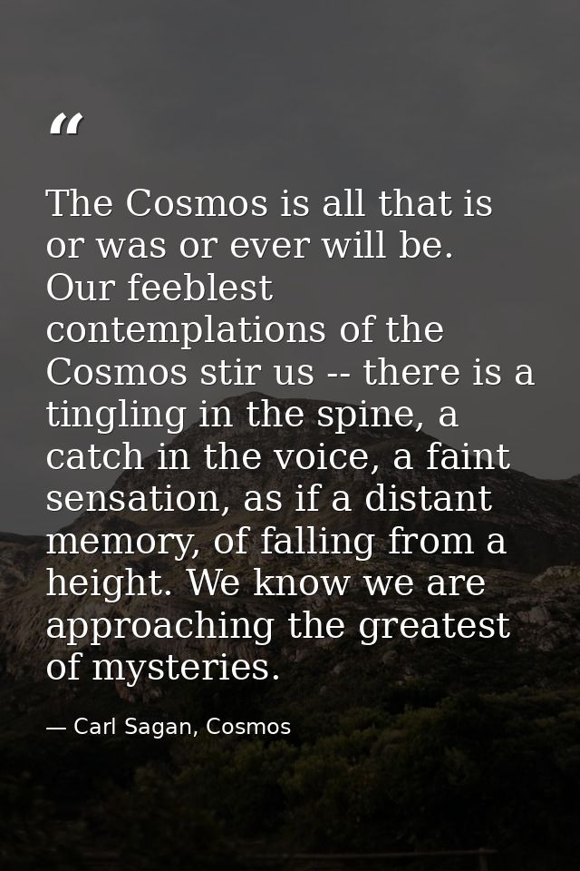 The Cosmos is all that is or was or ever will be. Our feeblest contemplations of the Cosmos stir us -- there is a tingli — Carl Sagan, Cosmos